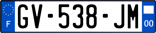 GV-538-JM