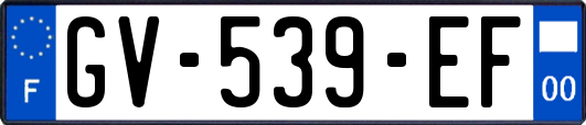 GV-539-EF