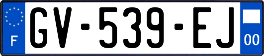 GV-539-EJ