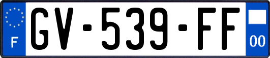 GV-539-FF