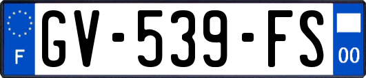 GV-539-FS