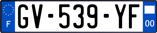 GV-539-YF