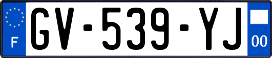 GV-539-YJ