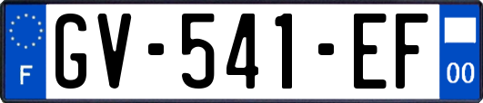 GV-541-EF
