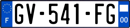 GV-541-FG