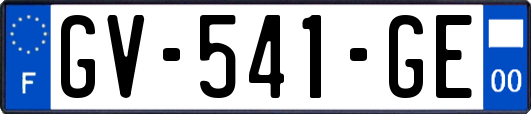 GV-541-GE