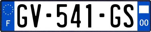 GV-541-GS