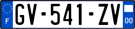 GV-541-ZV