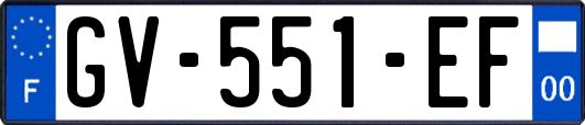 GV-551-EF