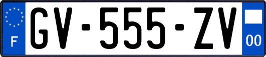 GV-555-ZV