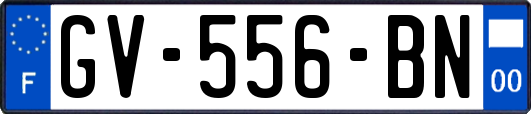 GV-556-BN
