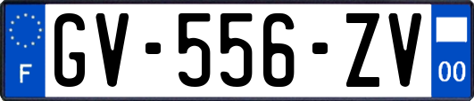 GV-556-ZV