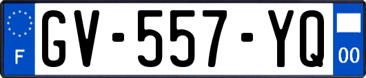 GV-557-YQ