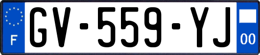GV-559-YJ