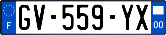 GV-559-YX