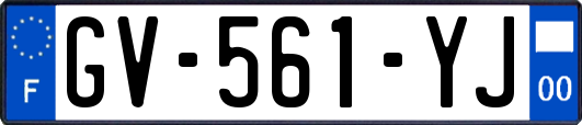 GV-561-YJ