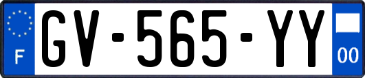 GV-565-YY
