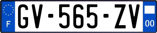 GV-565-ZV