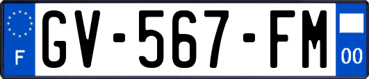 GV-567-FM