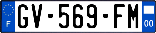 GV-569-FM