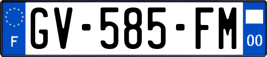GV-585-FM