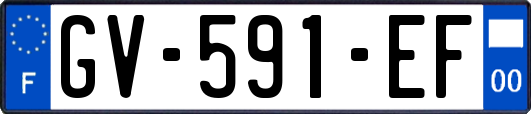 GV-591-EF