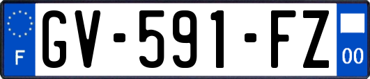 GV-591-FZ