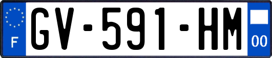 GV-591-HM