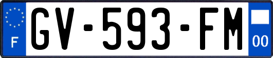 GV-593-FM