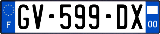GV-599-DX