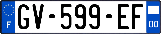 GV-599-EF