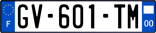 GV-601-TM