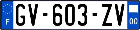 GV-603-ZV