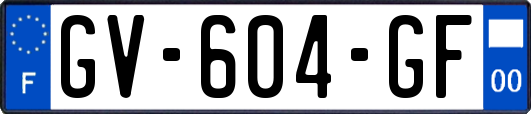 GV-604-GF