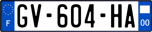 GV-604-HA