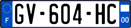 GV-604-HC