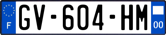 GV-604-HM