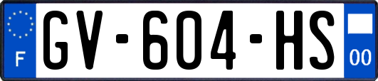 GV-604-HS