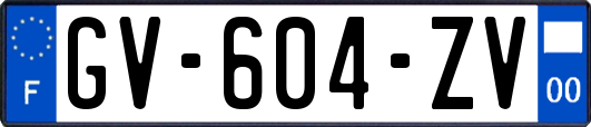 GV-604-ZV