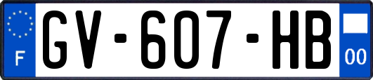 GV-607-HB