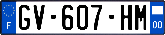 GV-607-HM