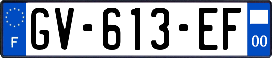 GV-613-EF