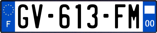 GV-613-FM