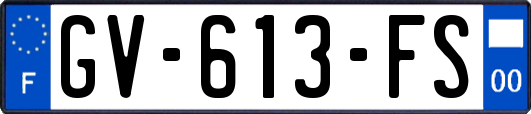 GV-613-FS