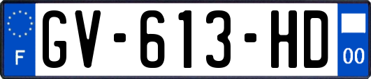 GV-613-HD