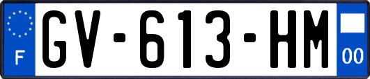 GV-613-HM