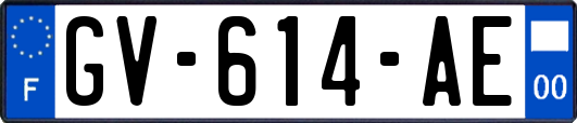 GV-614-AE