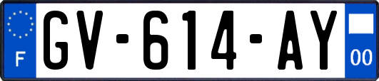 GV-614-AY