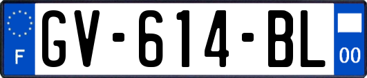 GV-614-BL