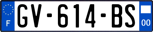 GV-614-BS
